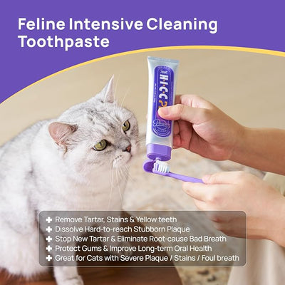HICC PET 4-Enzymatic Cat Toothpaste - EnzyPlex™ Power Clean Toothpaste for Plaque & Tartar Control - Professional Feline Dental Care for Fresh Breath & Healthy Gums - Cheese & Salmon Flavor, 2.82 oz