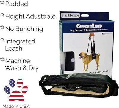 GINGERLEAD Dog Sling Support Harness, SM Female fits Small to Medium Size Pets or Larger Barrel Chested Dogs Like Boxers or Bullies. Padded Rear Lifting Aid with Leash. Made in U.S.A.