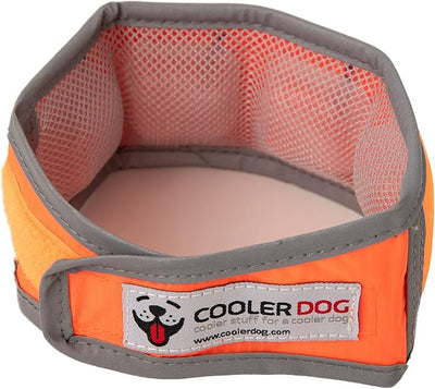 CoolerDog Hi-Vis Cooling Dog Collar for Small Dogs – Reflective Re-Freezable Ice Collar for Hot Weather & Heat Relief (Orange, Small)