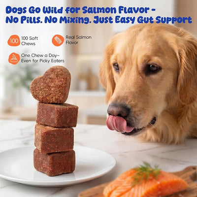 Probiotics Chews for Dogs Gut Digestive Health, Dog Upset Stomach Relief and Occasional Diarrhea, Boost Immune Systems - Prebiotics and Probiotics for Dogs, Salmon Flavor, 100 Soft Chews