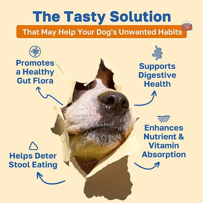 Happy Paws No Poo Chews for Dogs, Poop Eating Coprophagia Deterrent, Probiotics for Dogs with Pumpkin & Enzyme Blend for Digestive Health, Organic, Vegan, Non GMO, Beef Flavor, 200 Count
