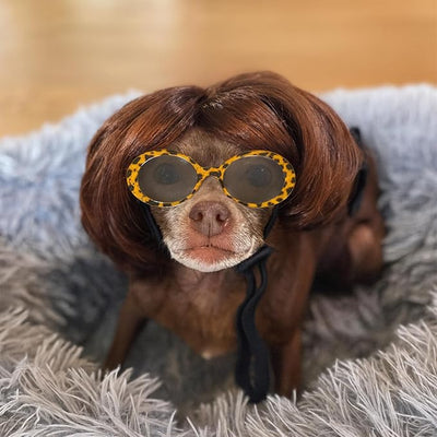 Dog Wig Pet Costumes, Cat Costume Synthetic Accessories Small Dog Headwear for Halloween Christmas Eve Festival Party Decor, Head Wear Apparel Toy (D)