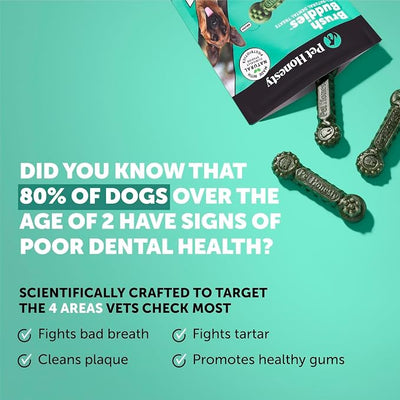 Brush Buddies Long Lasting Dog Dental Chews - All Natural Dental Sticks for Teeth Cleaning Plaque Off + Tartar Remover for Dogs - Dog Dental Treats + Breath Freshener - Large Sized Dogs (8 Count)