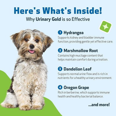 Pet Wellbeing Urinary Gold for Dogs - Vet-Formulated Multi-Herb Urinary Tract Support - Bladder Health & Urinary System Wellness - Natural Dog Supplement - 4 oz (118 ml)