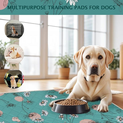 IEUUMLER Washable Pee Pads for Dogs, 2 Pack Non-Slip & Waterproof Pack Whelping Pad, Reusable Washable Puppy Potty Training Pad with Fast Absorbent for Playpen EU007 (Teal Daisy, 36"X41"-2pcs)