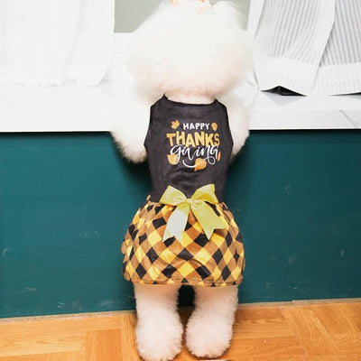 CuteBone Happy Thanksgiving Day Dog Fall Dress Costume Velvet for Small Dogs Girl Puppy Dresses Yellow Plaid Dog Clothes