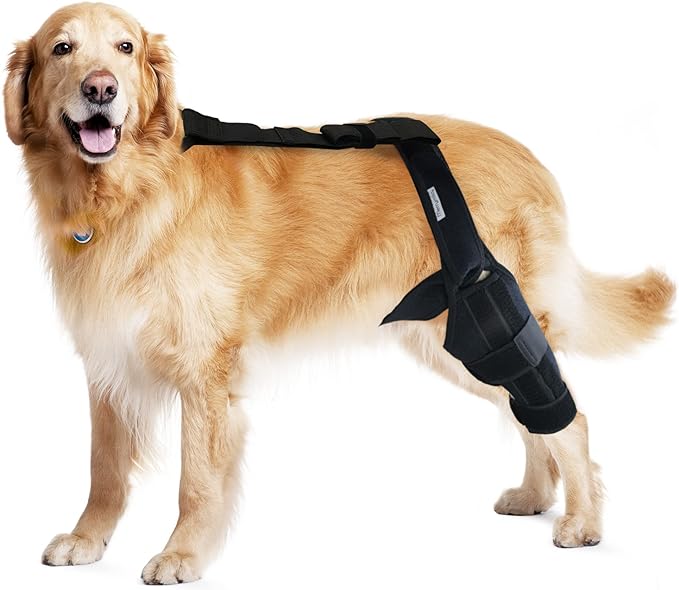 Dog Knee Brace for Torn ACL Hind Leg – Adjustable Canine ACL/CCL & Cruciate Ligament Support, Arthritis Pain Relief, Durable Stabilizer Wrap, Black, M