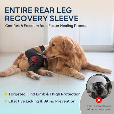 Dog Sleeve for Rear Legs to Stop Licking, Upgraded Recovery Sleeve for Hind Back Leg Wounds,TPLO, ACL Surgery, Light Comfortable Cone Alternative,Right,M,Dark