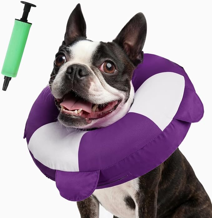 IECOii Inflatable Dog Recovery Collar, Comfortable Cone Alternative | Comfort Beyond the Cone | Pillow-Like Recovery | Full-View Freedom | Lick-Free Healing | Stay-Put Comfort | Easy-Clean Design