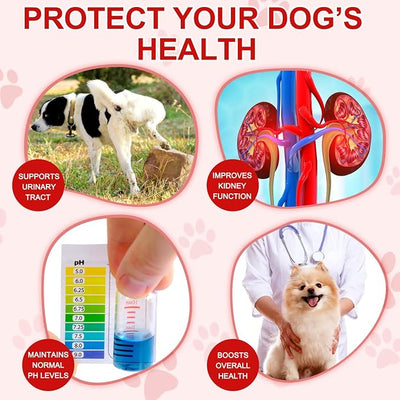 Cranberry for Dogs, 180P Cranberry Urinary Tablets for Dogs - Supports Bladder Infection, Urinary Tract, Bladder Stone & Dog UTI, Pet Supplement Treats for Dogs, Chicken Flavor - 180P Chewable Tablets