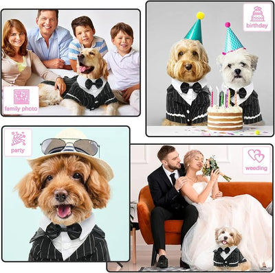 QBLEEV Dog Tuxedo Suit with Bow Tie, Formal Black & White Striped Dog Costume Outfit, Doggy Tux Prince Dress for Wedding Party Birthday Holiday, Elegant Dogs Attire for Chihuahua Yorkie Shih Tzu