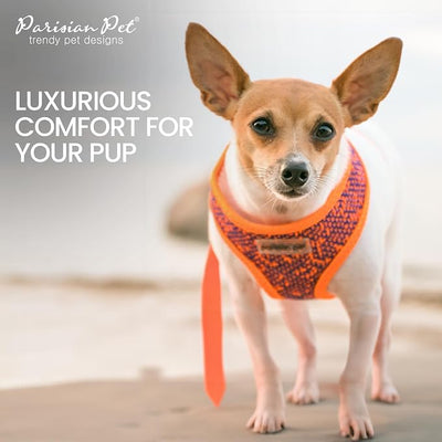 Parisian Pet Dog Harness - Breathable Mesh Orange Blue No Pull Puppy Harness with Leash Ring - Adjustable Harnesses for Dogs - Soft Padded Step-In Pet Vest - Lightweight Dog Vests for Small Sized Dogs