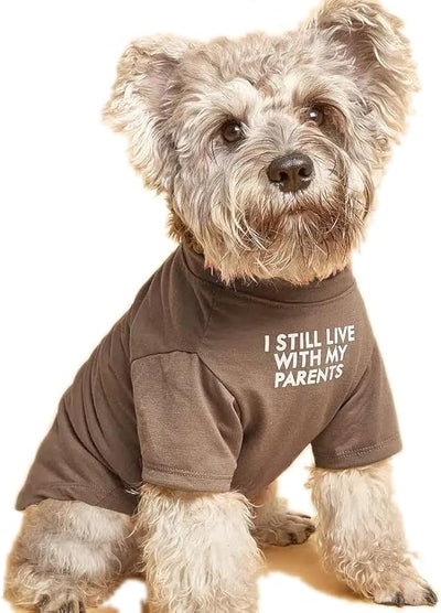 Cute Dog Clothes,Dog T Shirt for Medium Dogs, Small Dogs Girl Boy,Puppy.Breathable Soft Dog Costume Pet Dogs Cats,Pet Pullover Jumper,Cat Clothes (S-(4~8lb), Chest~14", Khaki)