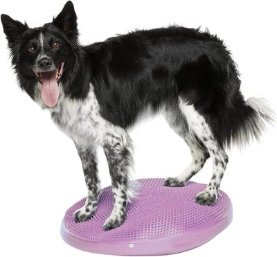 FitPaws® Dog Balance Disc – 22”, Razzleberry | Dog Exercise Equipment | Workout Tool for Strength, Core, Stability & Rehabilitation