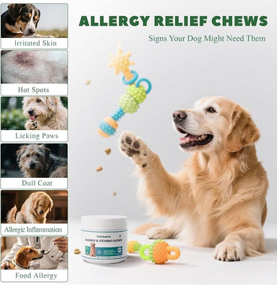 Dog Allergy Chews, Dog Allergy Relief Chews Coat Supplement for Itchy Skin Paw Licking, Probiotics for Dogs with Colostrum Omega-3 Turmeric Immune Supplement-30ct
