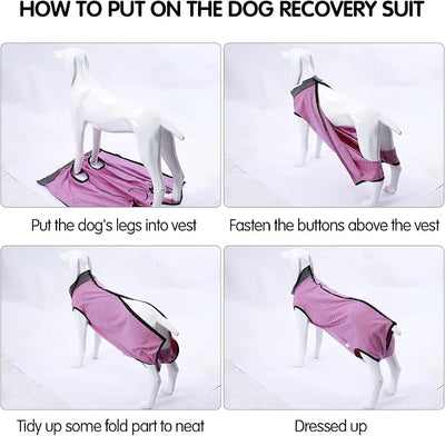 Dotoner Dog Recovery Suit Abdominal Wound Puppy Surgical Clothes Post-Operative Vest Pet After Surgery Wear Substitute E-Collar & Cone(XL,Pink)