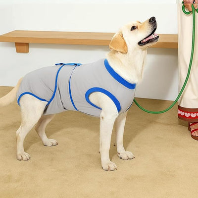 Recovery Suit for Dogs Cats After Surgery, E-Collar & Cone Alternative Surgical Suit, Prevent Licking Dog Onesies Pet Surgery Recovery Suit Soft Dog Bodysuit, Grey Blue, 2XL