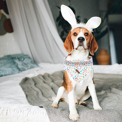 Lionheart Easter Dog Bandana - Soft Washable Square Adjustable Bandana for Medium Large Dogs
