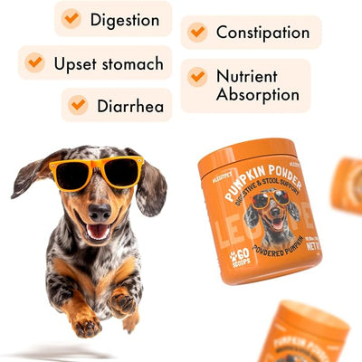 Pumpkin Powder for Dogs Digestive & Stool Support Fiber Blend with Pumpkin, Pumpkin Seed & Apple Helps Support Firm Stool, Gut Health & Regular Digestion 60 Scoops
