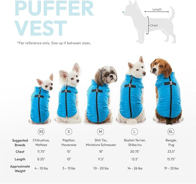 Gooby Puffer Vest Dog Jacket - Blue, Medium - Ultra Thin Zip Up Wind Breaker with Dual D Ring Leash Water Resistant for Small to Medium Dogs