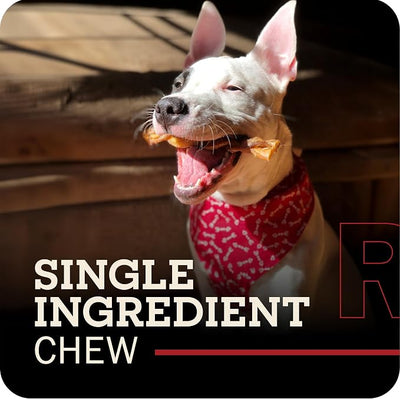 Redbarn Pet Products 100% Natural Braided Bully Sticks 8-12 in Long Lasting Dog Chews for Medium and Large Dogs Rawhide Free Single Ingredient Beef Pizzle 1 lb Bag