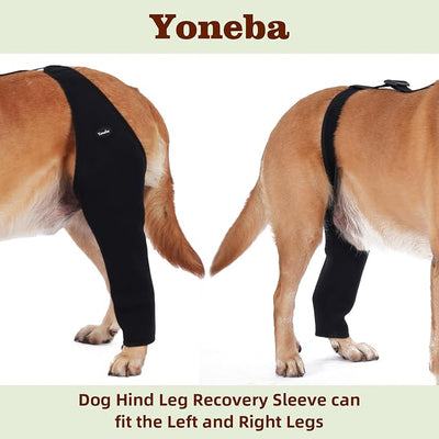 Dog Recovery Sleeve Back Leg Breathable Material,Dog Leg Sleeve to Stop Licking and Biting Firm and Secure, Adjustable Size, Comfortable Alternative to Cone Collars (XLarge, Single Leg)