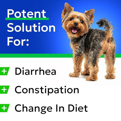 BARK&SPARK Pumpkin Powder for Dogs - 8oz Powdered Fiber Supplement and Stool Softener - Upset Stomach, Food Sensitivity - Improve Digestion - 8oz Powder