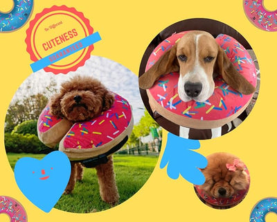 Dog Donut Collar | Alternative to Traditional or Soft Dog Cones | Inflatable Post-Surgery Cone for Medium Dogs (Pink)