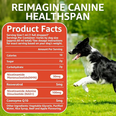 Dog Longevity Supplement NAD+ & NMN, Liposomal NAD Nicotinamide Riboside Resveratrol, Joint Health, Vitality & Healthy Aging, Easy to Give Every Day - Better Absorption, 60ML