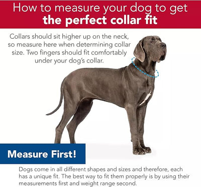 Coastal Pet SecureAway Collar Protector for Flea Collars - Adjustable pet Accessory - Protective Flea Collar for Dogs & Puppy - Multi Paws, 5/8" x 10-14"
