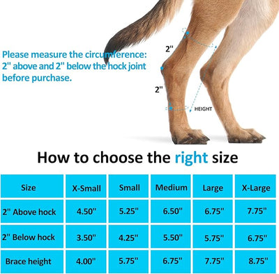 Dog Leg Brace for Back Leg, Canine Hock Brace for Rear Legs with Dual Metal Strips, Joint Warps Strong Support Help for Hind Leg Injuries Sprains Arthritis Torn ACL(1Pair)