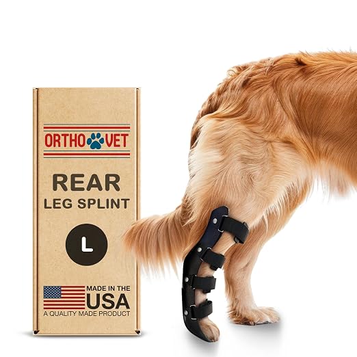 Standard Rear Splint for Dogs with Injuries, Arthritis, Fractures or Sprains, Durable & Lightweight Rear Splints for Rehability Treatment & Post-Surgery Protection for Pets - L