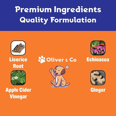 Natural Mange Treatment Dogs - May Help to Reduce Dry, Itchy, Red Skin, & Much More - Mange in Dogs Treatment - Dog Skin & Coat Supplement - Dog Dandruff Treatment - 1 fl oz - Bacon Flavor