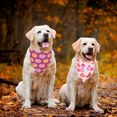 PTDECOR Fall Dog Bandana, Pink Pumpkin Design Reversible Holiday Dog Scarf, Triangle Thanksgiving Bandanas for Large X-Large Dogs (X-Large)