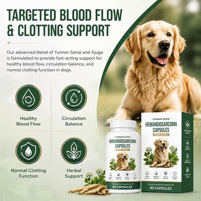 Yunnan Sanqi Capsules for Dogs - Herbal Quick Stop Bleeding & Circulatory Support for Hemangiosarcoma, Hemoabdomen, Pericardial Effusion, Severe Bruising, Ulcer-Related Bleeding, 90 Capsules