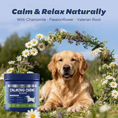 Calming Chews for Dogs – Relaxation & Stress Support with Chamomile, Valerian Root, L-Theanine, Passionflower & Ashwagandha – Calming Support with Glucosamine, Chicken Flavor, 120 Count