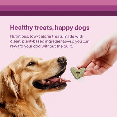 Wild Earth Superfood Dog Treats, Plant Based Dog Treats with Omega Acids, Prebiotics & Koji Protein, No Fillers, Veterinarian-Developed, Strawberry & Beet Flavor (3-Pack)