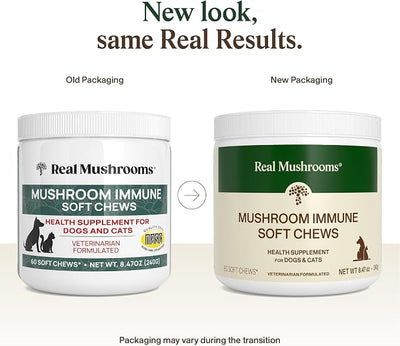 Real Mushroom Immune Pet Chews – For Daily Digestive & Immune Health – Mushrooms for Dogs & Cats Functional Treat – Mushroom Supplement for Dogs & Cats – 1 to 4 Chews For All Breeds & Sizes (60 Count)