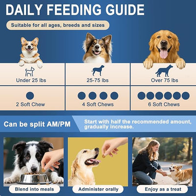 Probiotics for Dogs, Dog Probiotics Chews for Digestive Health &Gut Health | Improve Immune System,Constipation Diarrhea Relief, 6 Billion CFU Multi-Strain,Pumpkin,Full Enzymes,250 chews Chicken Flavor