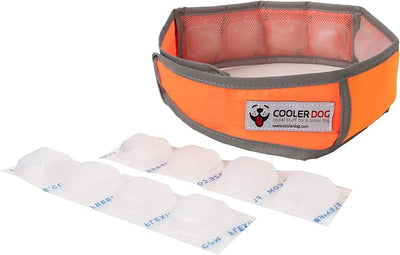CoolerDog Hi-Vis Cooling Dog Collar for X-Large Dogs – Reflective Re-Freezable Ice Collar for Hot Weather & Heat Relief (Orange, X-Large)