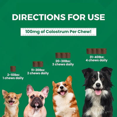Progility Mini Allergy & Immune Supplement for Small to Medium Dogs – Advanced Immune Support for Everyday Wellness & Seasonal Allergies, Soft Chews (60 Count)