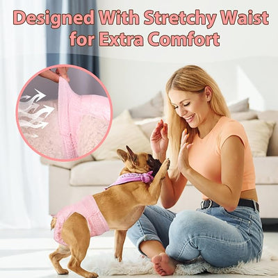 Ambreview Disposable Dog Diapers Female, Just Pull It Up, Doggie Diapers for Female Dogs, Strong Absorbency | Leak Proof, for Dogs in Heat | Elderly | Disabled, S 100 PCS