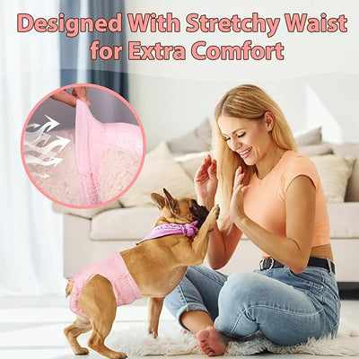 Ambreview Disposable Dog Diapers Female, Just Pull It Up, Doggie Diapers for Female Dogs, Strong Absorbency | Leak Proof, for Dogs in Heat | Elderly | Disabled, S 10 PCS