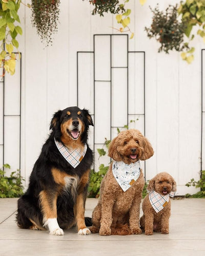 Remy+Roo Dog Bandanas - 2 Pack | Boon Ties X Remy+Roo Dog Bandanas Set | Premium Durable Fabric | Patented Shape Bandanas for Dogs (Spring, Plaid, Floral, Large)