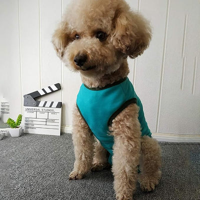 Dog’s Recovery Suit Post Surgery Shirt for Puppy, Wound Protective Clothes for Little Animals(Blue-l)