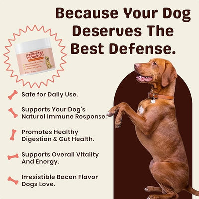 Turkey Tail Mushroom for Dogs – Turkey Tail Mushroom Powder with Probiotics for Immune and Digestive Support, Supports Lumps and Bumps, Bacon Flavored Daily Dog Supplement