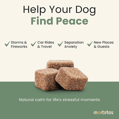 Calming Soft Chews for Dogs with Melatonin & L-Theanine – Daily Emotional Wellness Support – 120 Count