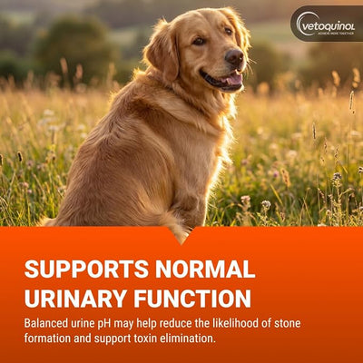 Vetoquinol Methigel - Urinary Acidifier for Dogs & Cats - Supports Bladder Health & pH Balance in Pets - Odor Neutralizer Support - Great Taste for Easy, Daily Use - 4.25 oz