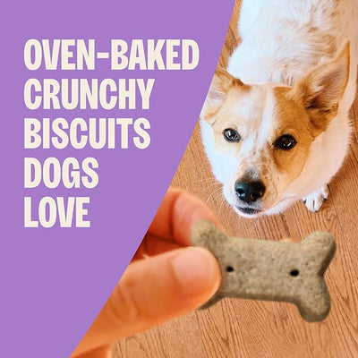 Wellness Old Mother Hubbard Classic P-Nuttier Dog Biscuits, Natural Training Treats, Peanut Butter Flavor, Mini Size, 20 lb Box
