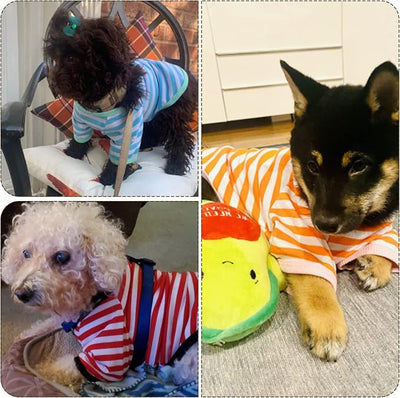 Geyoga 6 Pieces Dog T-Shirt Striped Cotton Breathable Spring Summer Pet Apparel Colorful Soft Puppy Sweatshirt Clothes for Small to Medium Dogs Puppy(Light Color,M)
